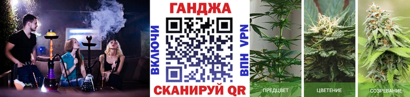 Бошки Шишки OG Kush  Нефтекамск 